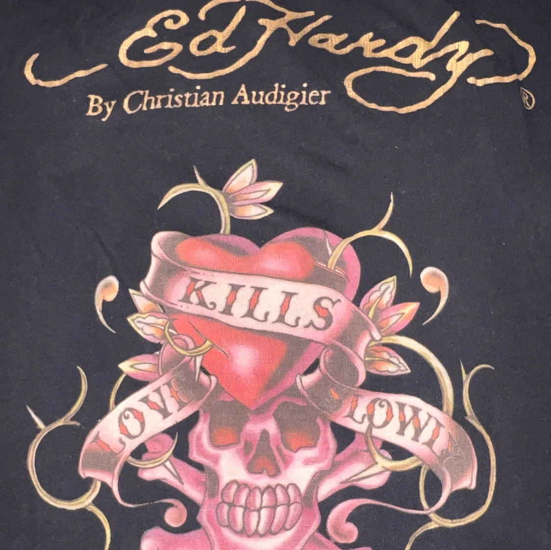 Ed Hardy hoodie - 91