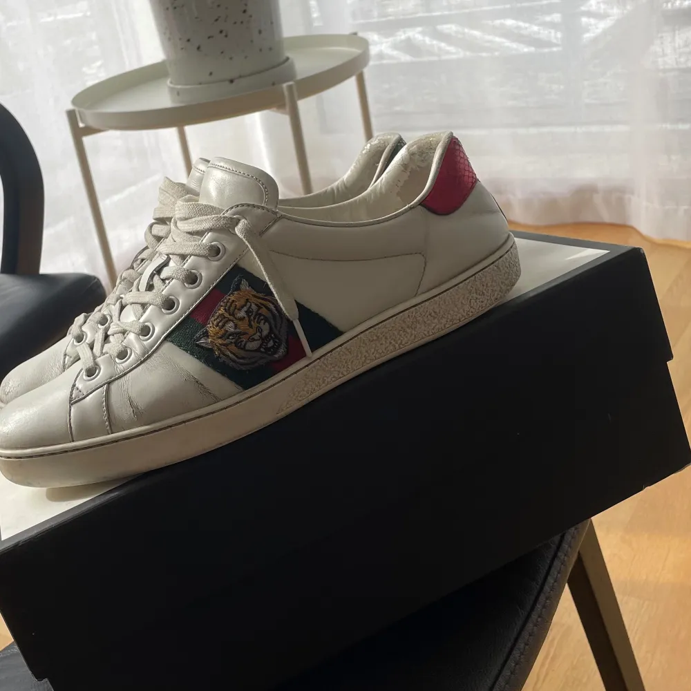 Gucci Ace skor med tiger motivet | skicket är använt, lite bortnött läder men synd bara på nära håll. Skickat är runt 7/10 | perfekta beaters nu till hösten!. Skor.