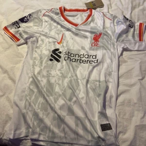 Liverpool 24/25 - H
