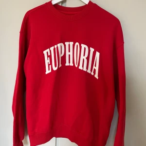 Sweatshirt  - Jättefin och skön sweatshirt, nästan helt oanvänd