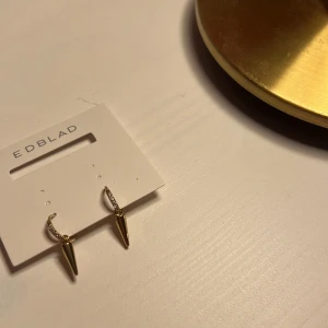 Guldörhängen från Edblad - Snygga guldörhängen från Edblad med en spetsig design och gnistrande detaljer. Perfekta för att ge en elegant touch till din stil. Tillverkade i rostfritt stål. 