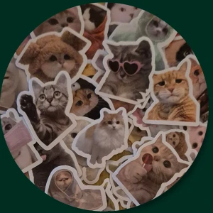 33 Katt stickers - 33 Stickers med Kattmotiv, mått är ca 4 cm. ✨️Titta igenom alla mina upplagda & köp fler saker i Bundle för att spara på frakten & få allt du köpt i ett & samma paket✨️ För att köpa med Bundle så får du först trycka i "Köp med bundle" sedan väljer du ut allt du vill köpa för att få allt på samma frakt = Billigare 👌 Om du däremot köper fler varor i olika köp blir det egen frakt för varje köp. Önskar du swisha mej, meddela mej vad du vill köpa så ordnar vi det 👌