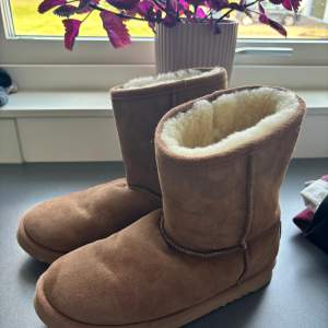 Nästintill nya uggs. Beiga med riktig ull innuti. Både ibsidan och utsidan är i väldigt fint skick. Stl 40, pris kan diskuteras!