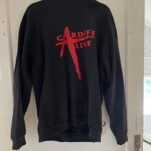 Svart sweatshirt från Fruit of the Loom - Säljer en svart sweatshirt från Fruit of the Loom med trycket 'Cardiff Alive' i rött på framsidan. Tröjan är i storlek XL och är gjord av 70% bomull och 30% polyester. Perfekt för en casual look eller för att hålla sig varm under kyliga dagar.