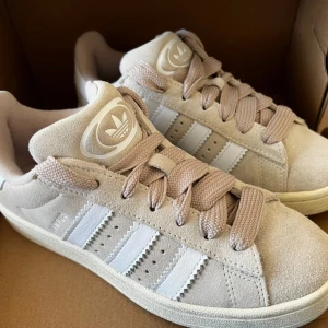 Campus00s Wonder White - Säljer nu mina Campus00s i stl 36 2/3. De är i mycket fint skick, endast använda en gång😊 Kommer med två skosnören (beige och vita) och i orginalkartong. Tveka inte att höra av dig vid frågor!😇