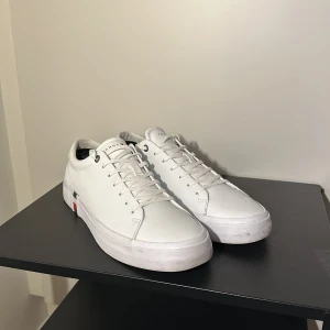 Vita sneakers från Tommy Hilfiger - Snygga vita sneakers från Tommy Hilfiger med klassisk design och snörning. Skorna har en diskret logotypdetalj i rött, vitt och blått på sidan och en unik sula med stadssilhuett. Perfekta för en stilren look. Skorna kan även bli rengjorda innan frakt💫