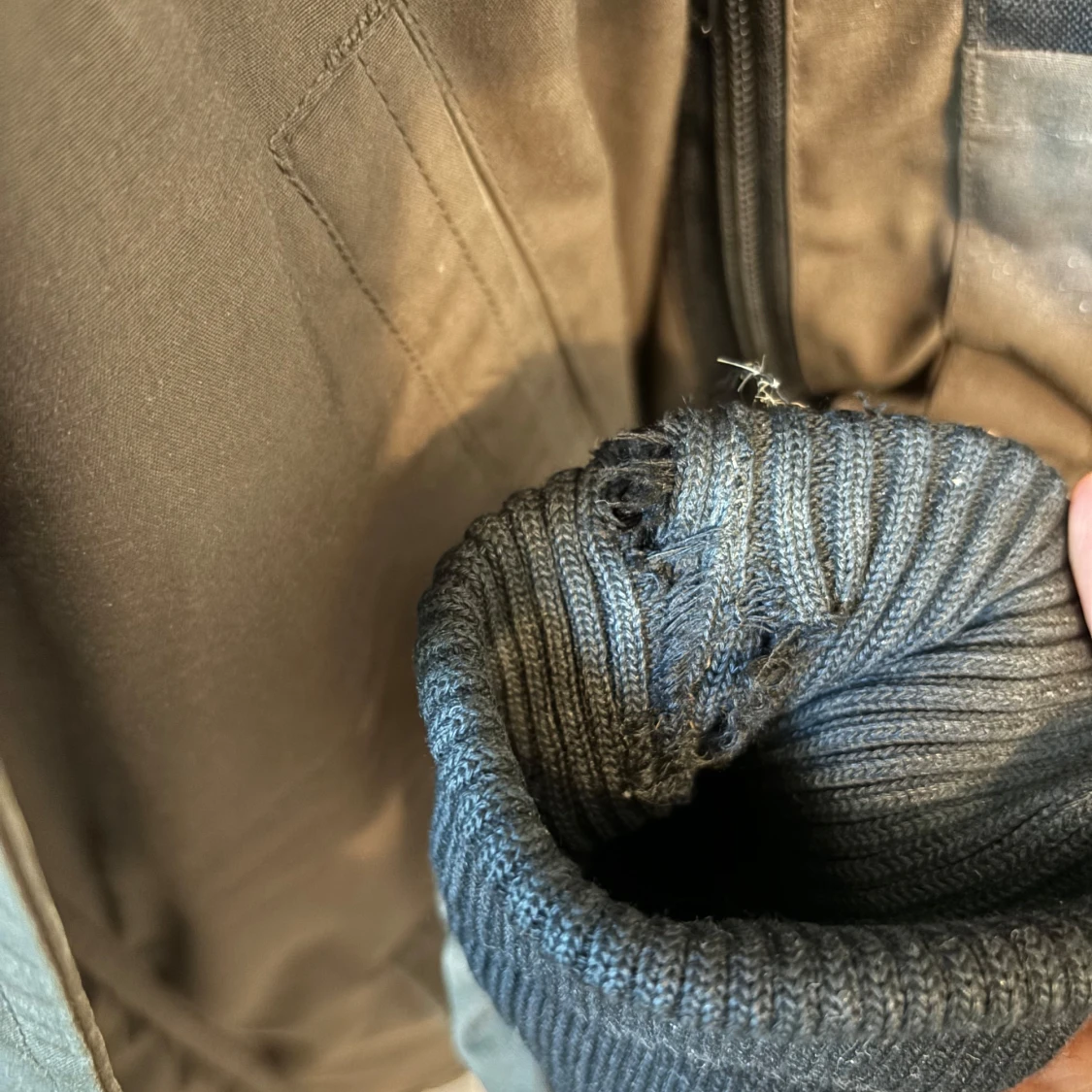 Canada goose chilliwack - 93