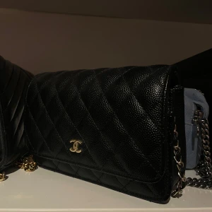 Liten väska  - Sparsamt använd, super fin till utgång och outfits nu till vintern. Går bra att mötas upp. 