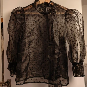 Organza prickig top - Passform: lös, puffärm, 3/4 ärmar, knytblus. Skick: använd men i bra skick, använts vid 2 fest tillfällen. Behöver ångas för att få bort skrynklor.  Obs! katt finns i hemmet.