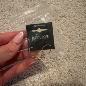 Örhängen från BUD TO ROSE  - Nya örhängen från det populära märket BUD TO ROSE. Säljer då dom inte kommer till användning, inga defekter. Det är stainless steel!! Köpta för mellan 300-400kr säljer för 199. Kan diskutera priset vid snabb affär