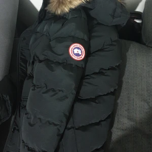 Canada goose  - Nästan är ny