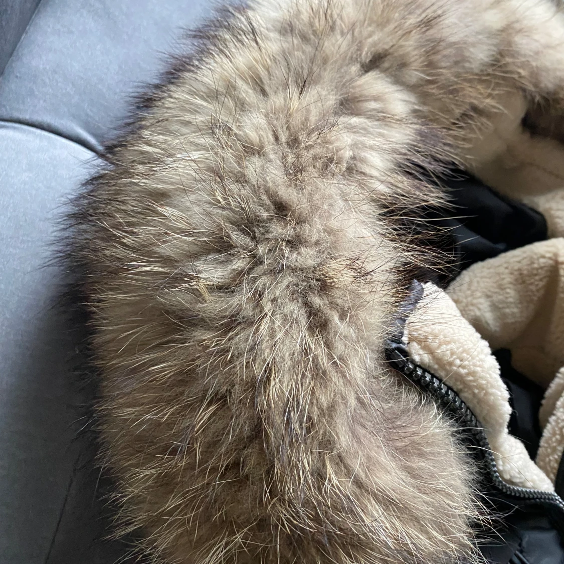 Rock and blue jacka - 93