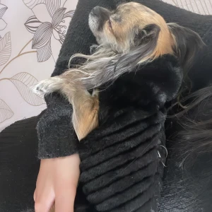 Chihuahua kläder  - Väldigt fin hund päls väst   Budgivning funkar 