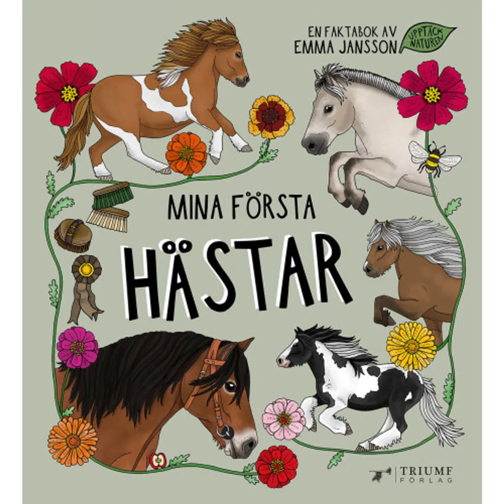 I boken Mina första hästar får du lära dig kort och innehållsrik fakta om olika hästraser, vad hästar äter och deras färger och tecken. Du får också lära dig att man kan se vilket humör hästen är på genom att studera öronen på den.Boken är del tio i den populära serien Upptäck naturen. Illustratör, fantastiska Emma Jansson @eplaros.     Format Inbunden   Omfång 24 sidor   Språk Svenska   Förlag Triumf Förlag   Utgivningsdatum 2023-09-18   ISBN 9789189083851  . Böcker.