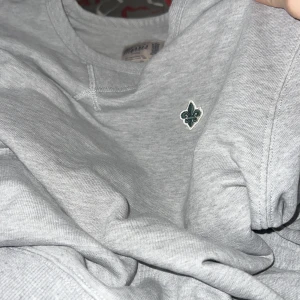 Grå sweatshirt med broderad detalj - Säljer en stilren grå sweatshirt med en liten broderad detalj på bröstet. Tröjan har rund hals och långa ärmar, perfekt för en avslappnad look. Passar bra till jeans eller joggers.
