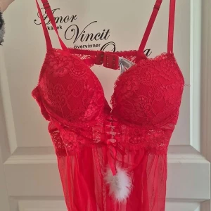 Röd spetsklänning med fjäderdetalj - Säljer en röd spetsklänning med justerbara axelband och en dekorativ fjäderdetalj framtill. Klänningen har ett blommigt spetsmönster och en transparent nederdel som ger en elegant look.