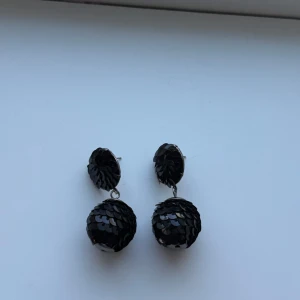 Svarta glittriga örhängen - Snygga svarta örhängen med glittrande paljetter. Perfekta för att ge en extra touch till din outfit. De har en rund form och är lätta att bära.