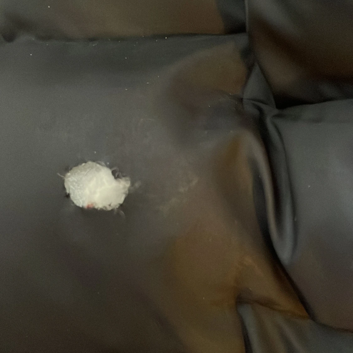 Svart dunjacka från Peak Performance - 3