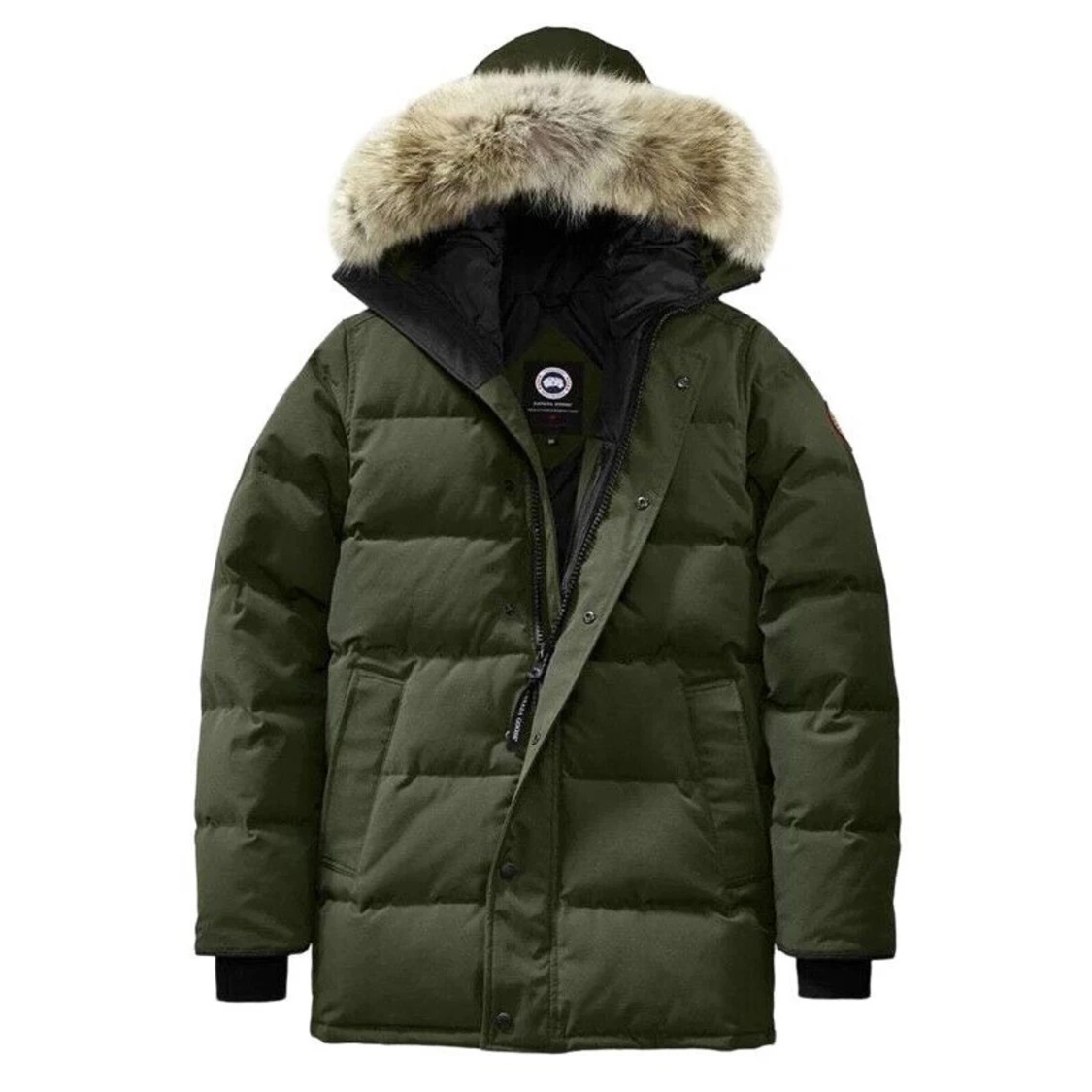 Canada goose carson