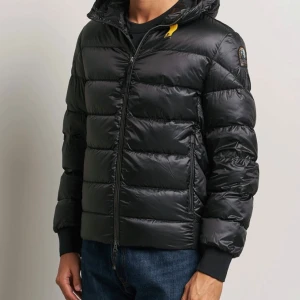 (Søker) Parajumper Pharrell Sheen - Ønsker og kjøpe en Parajumper Pharrell Sheen i størrelse medium. Den må være pent brukt eller ny.