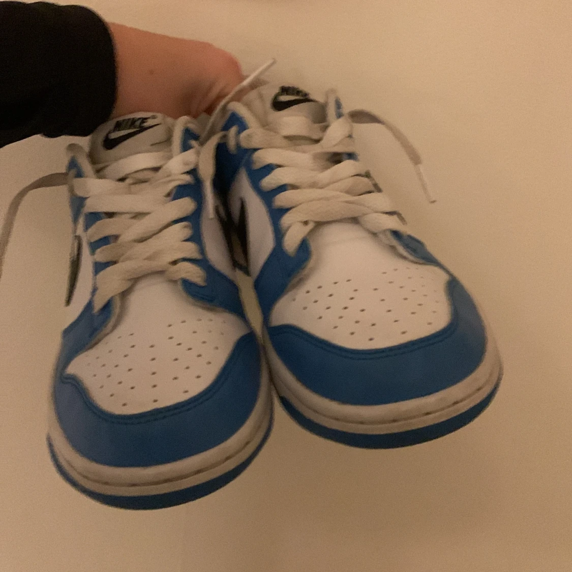 Nike Dunk i blått och vitt