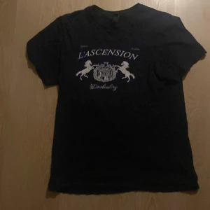 Svart t-shirt från Gildan - Säljer en svart t-shirt från Gildan i storlek S. Den har ett tryck med texten 'L'Ascension' och två hästar på framsidan. Perfekt för en avslappnad stil eller vardagsbruk. T-shirten är i bra skick och gjord av mjukt material.  Den kommer från drakenberg riktigt fräsch och snygg 