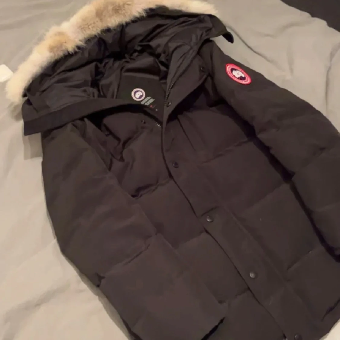 Sällsynt Canada Goose Parka