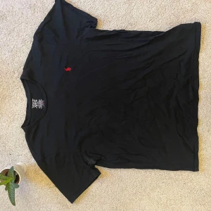 Svart t-shirt från Polo Ralph Lauren - Säljer en klassisk svart t-shirt från Polo Ralph Lauren med det ikoniska röda broderade logotypen på bröstet. T-shirten är kortärmad och tillverkad i mjuk bomull för en bekväm passform. Perfekt för en stilren look.