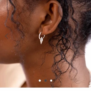 Silverörhängen med nitar  - Superfina örhängen med nitar från syster p. De är aldrig använda och förpackningen har aldrig ens öppnats. Nypris 499 säljer helst inte för 400. Frakt tillkommer