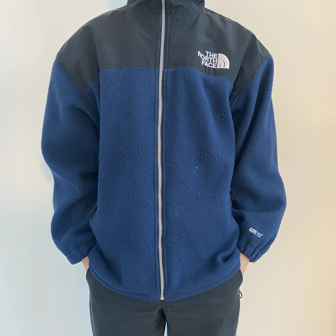 Gore-Tex The North Face Fleece - 91