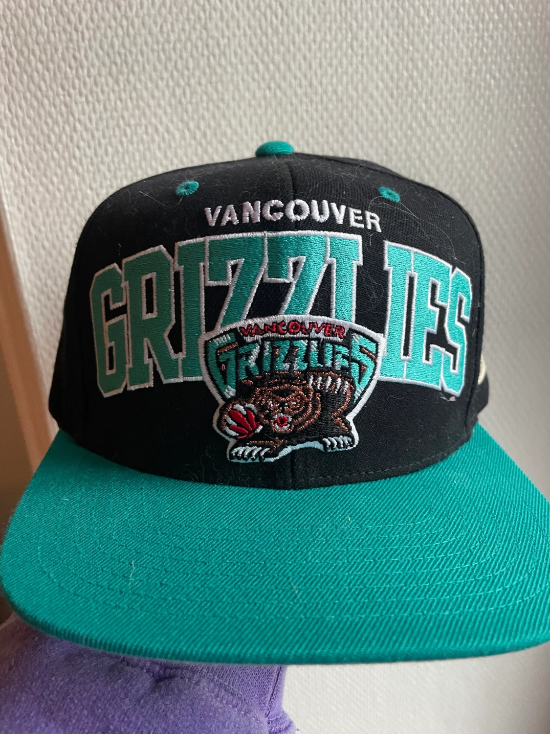 Vancouver gizzlies