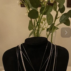 Halsband  - Halsband olika färger 