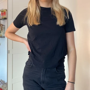 Svart T-shirt  - Storlek s från zara❤️❤️