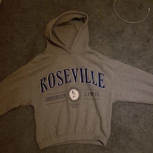 Zara hoodie - Säljer denna superfina hoodie för att den aldrig kommer till användning. Den är i superbra skick och inte använd många ggr!