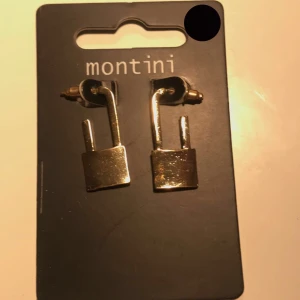 Montini örhängen  - Guldiga lås örhängen ett par. Väldigt bra kvalite och passar till många stilar.