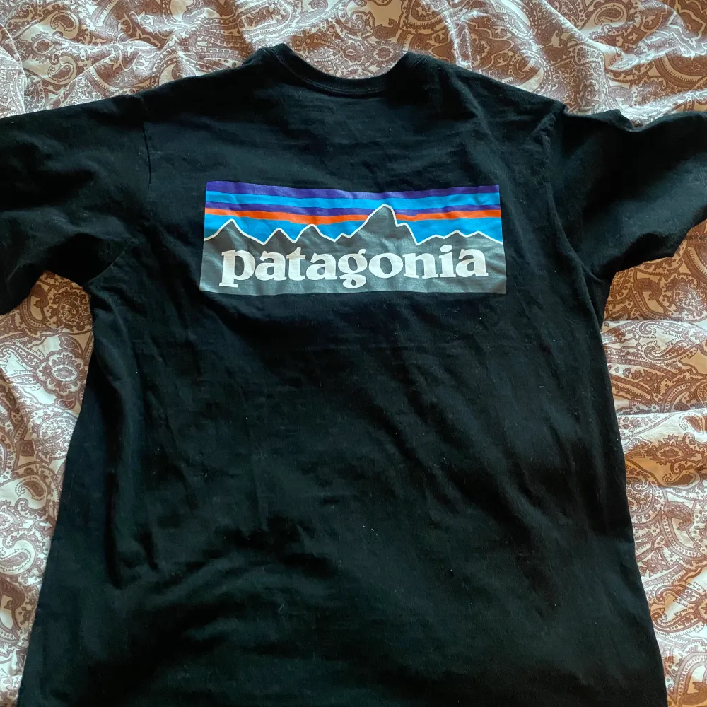 Säljer denna tshirt från Patagonia i storlek S som knappt kommit till användning därav inga defekter❤️‍🔥❤️‍🔥. T-shirts.