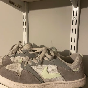 Nike  - Ett par Nike skate skor storlek 40, använda men bra skick. 