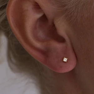 Örhängen muli  - Oanvända från mulicollection, 199kr nypris säljer direkt för 100kr ❤️