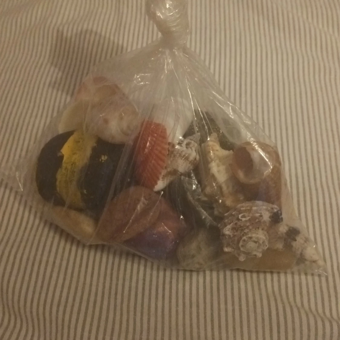 Snäckor och fina stenar