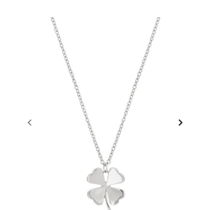 Fyrklöver halsband - Säljer då de här jätte fina halsbandet från Edblad, fick de i present med har aldrig använt de då jag inte använder silver smycken ❣️hade kunnat tänka mig byta mot ett par örhängen från Edblad i guld