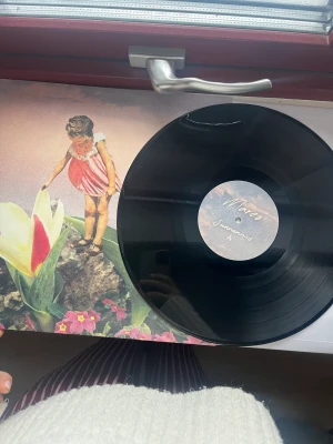 Mares Vinylskiva - Väldigt väl omhändertagen! Mares Penseldrag album vinylskiva! Säljs ej längre 