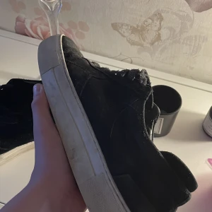 Axel argato  - Skriv 