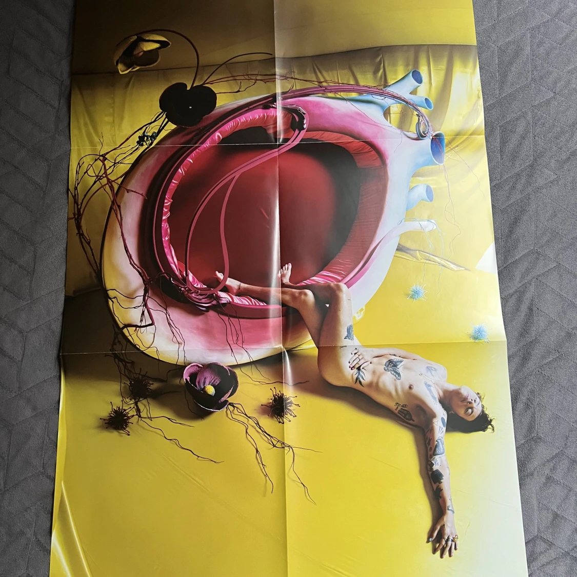 Harry Styles vinyl  - 91