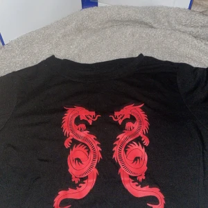 Red Dragon 🐉❤️ - Tröja köpt vinter 2022, inte använd mer än 5 gånger. Inga synliga fläckar.  Kom privat för fler bilder🎀