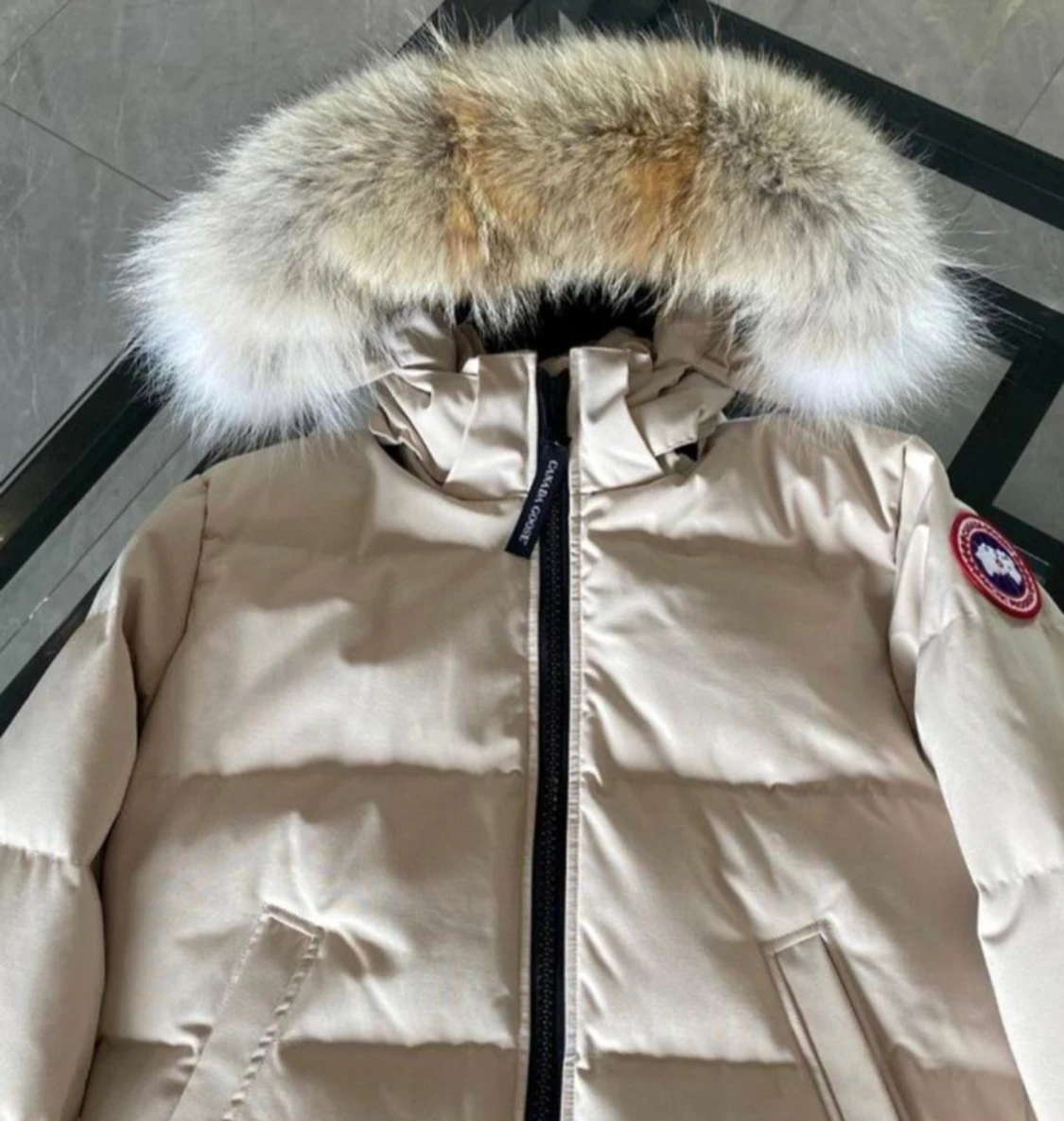DAM canada goose St M/42 - 90