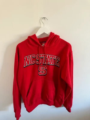 Vintage champion hoodie - Vintage champion hoodie, storlek small, pris 300kr + frakt, se bilder för skick