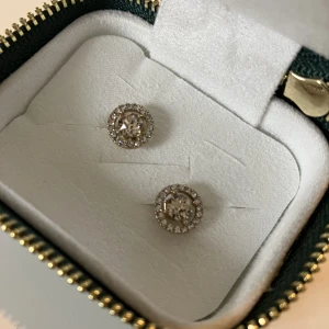 Örhängen  - Örhängen från Lily and rose. 200kr