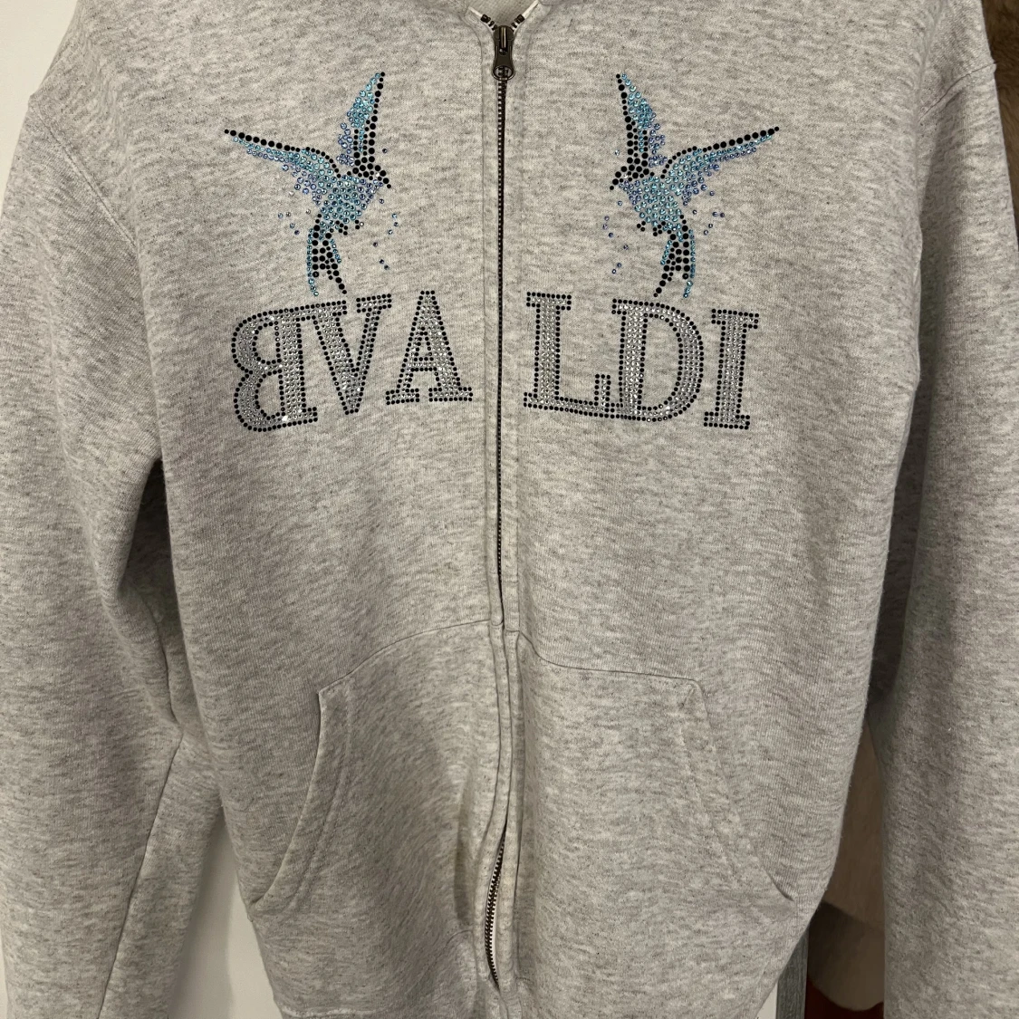 bvaldi hoodie - 1
