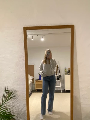 Sweatshirt - Grå sweatshirt! Säljer pga av att jag har en liknande. Storlek: XS. Skick: Bra, inte nopprig.