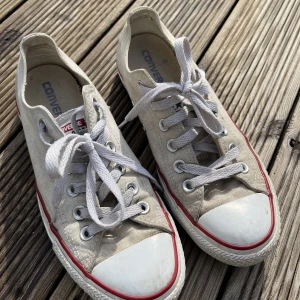 Converse  - Vita converse storlek 38
